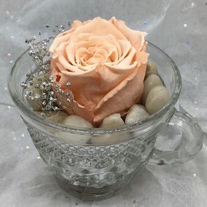Preserved Peach 🍑 Rose Tea Cup